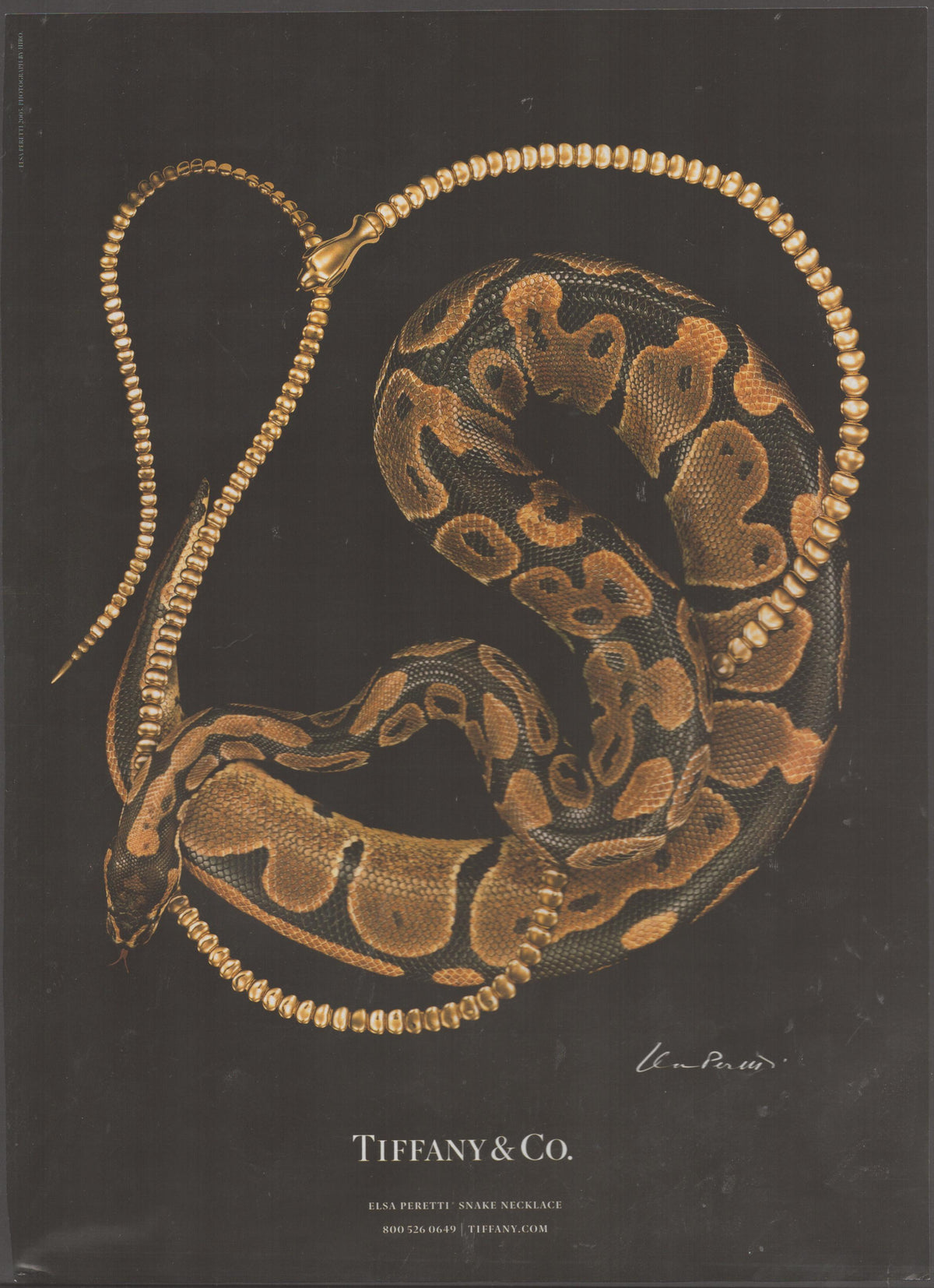 Vintage 2000s Tiffany & Co. Elsa Peretti Snake Necklace original print advertisement, gold chain necklace draped around a coiled ball python on a dark background with Peretti signature