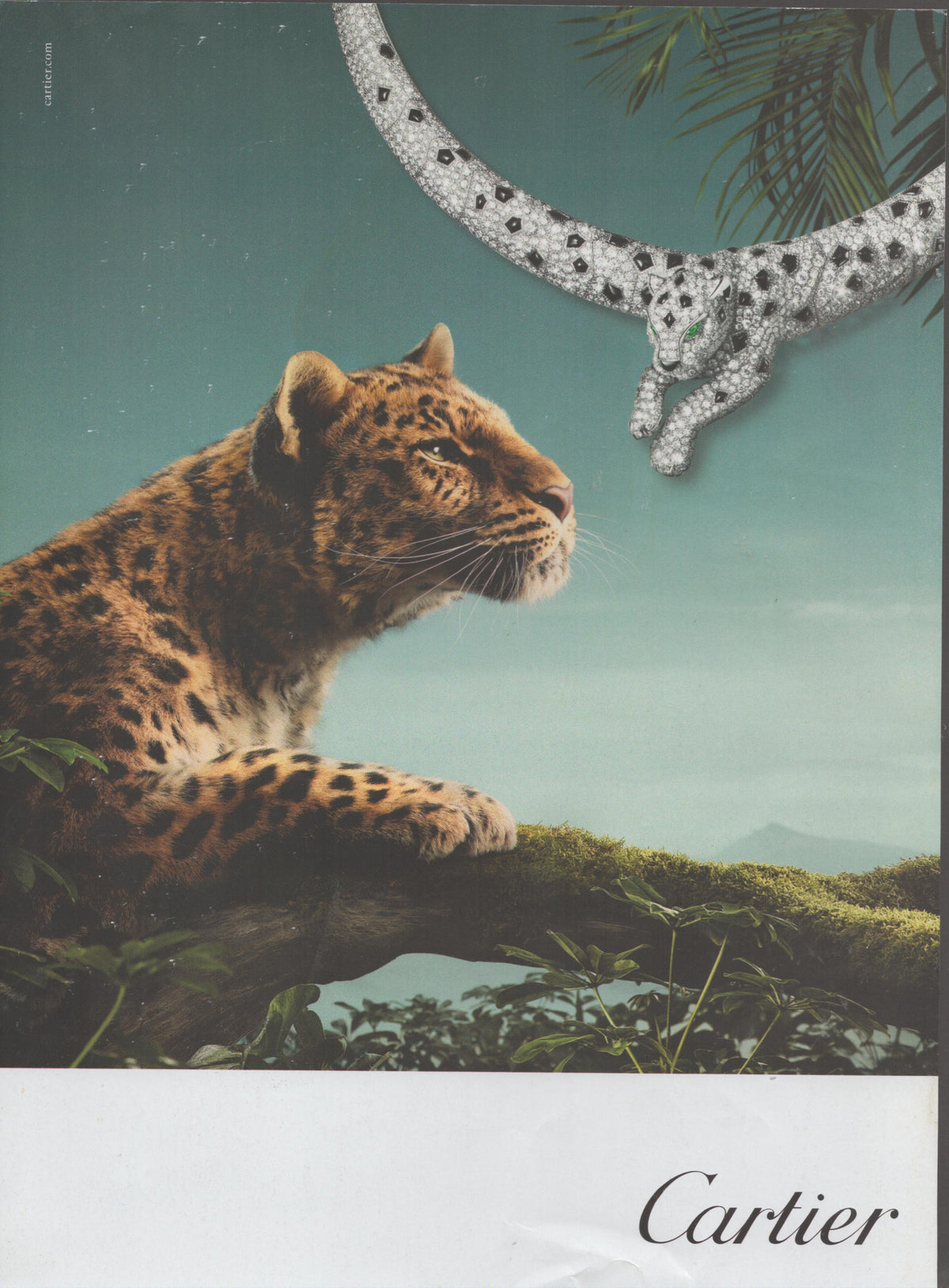 Vintage 2000s Cartier Panthère original print advertisement, living leopard on jungle branch gazing at diamond-and-onyx Panthère necklace jewel descending from palm fronds against teal sky