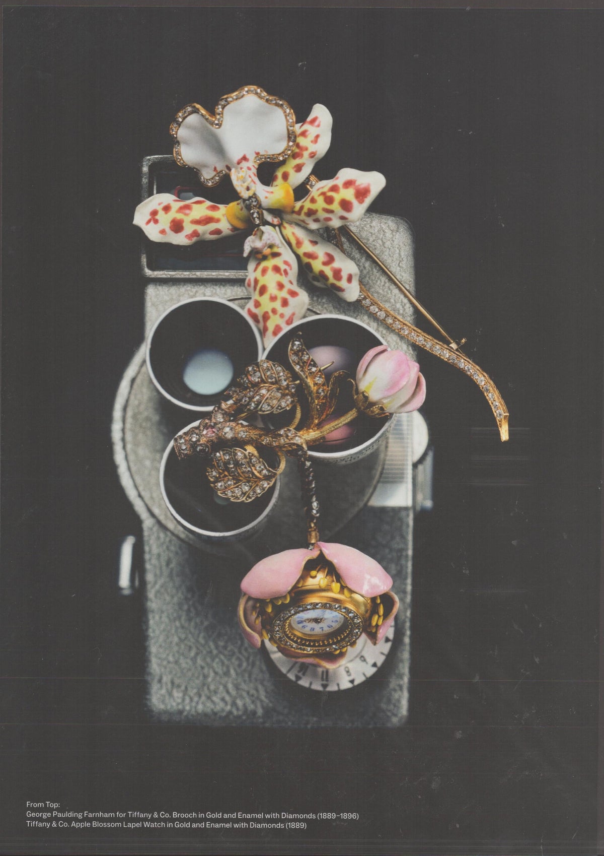 Vintage 1980s Tiffany & Co. original print advertisement featuring George Paulding Farnham orchid brooch and Apple Blossom lapel watch in gold, enamel, and diamonds draped over a vintage twin-lens reflex camera against a dark background