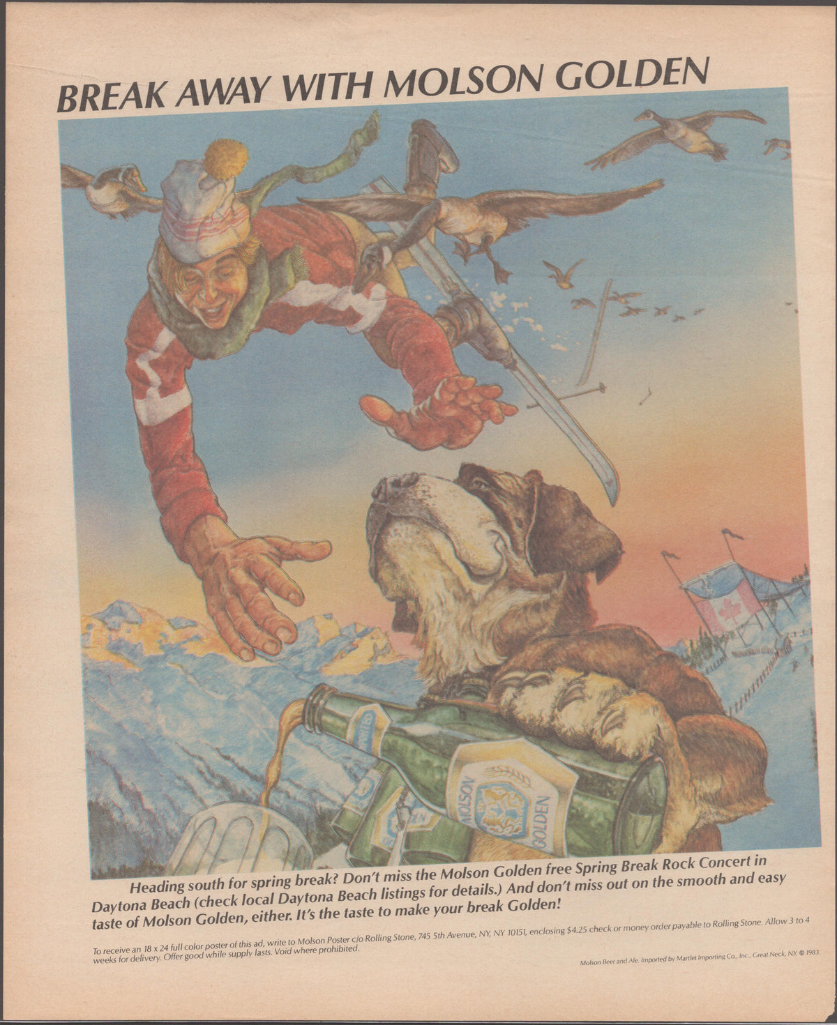 Vintage 1983 Molson Golden original print advertisement, illustrated skier tumbling airborne above a St. Bernard dog with Molson Golden beer bottles in a snowy mountain scene