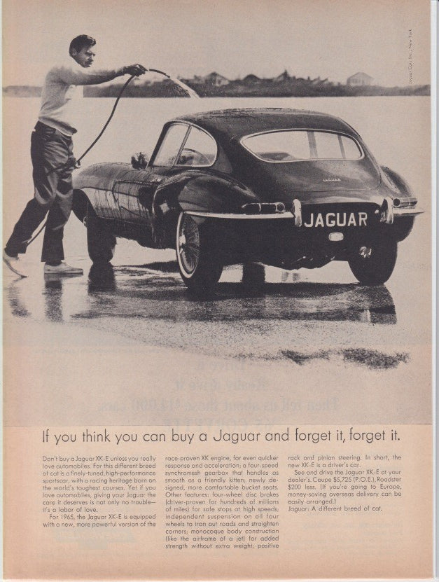 Vintage 1965 Jaguar XK-E E-Type original print advertisement, black and white photo of man hosing down E-Type Coupe with headline 'If you think you can buy a Jaguar and forget it, forget it'