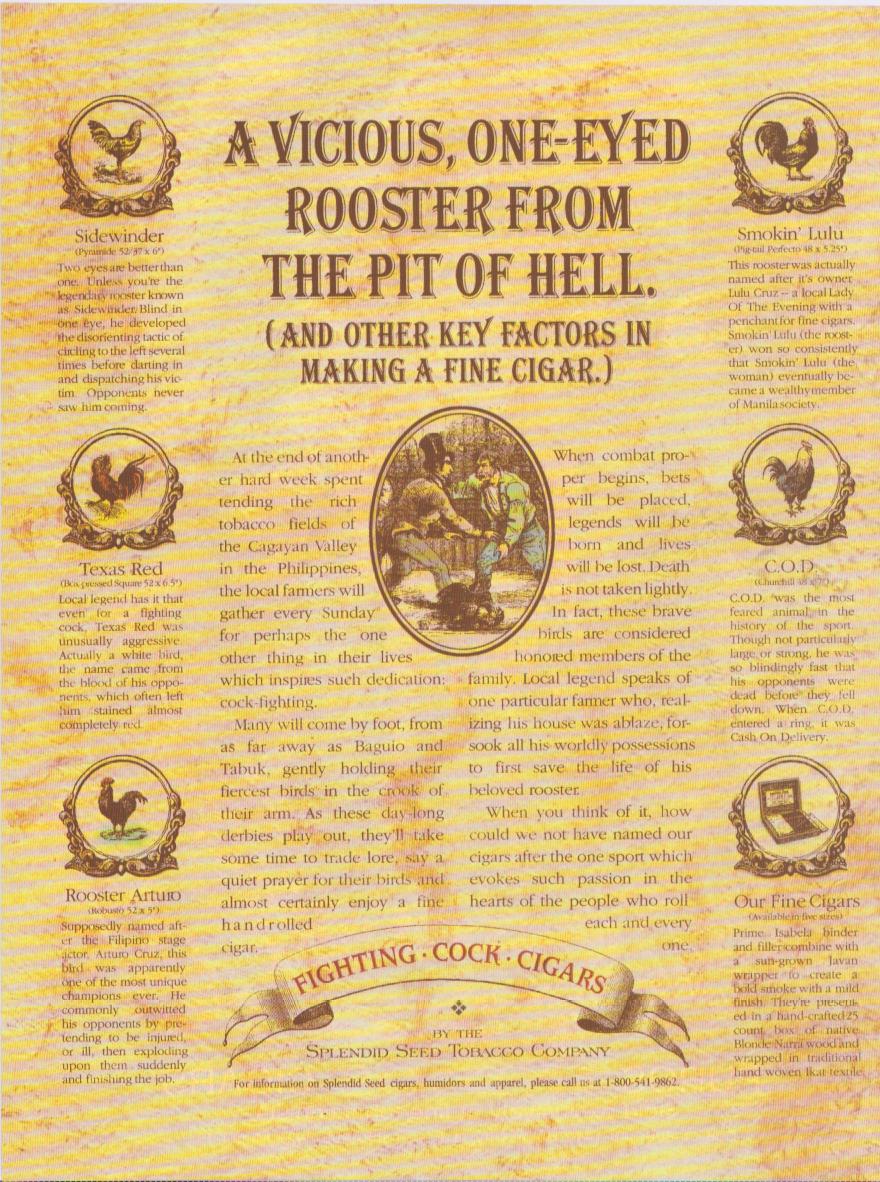 Vintage 1990s Fighting Cock Cigars Splendid Seed Tobacco Company original print advertisement, yellow-toned page with illustrated fighting roosters in medallions and cockfighting scene